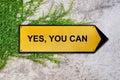 Yes, you can on yellow sign hanging on ivy wall Royalty Free Stock Photo