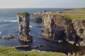 Yesnaby castle sea stack and Yesnaby Cliffs on the Mainland of Orkney, Scotland Royalty Free Stock Photo