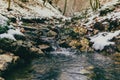 A tiny water stream during the winter Royalty Free Stock Photo