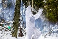 Yeti fairy tale character in winter forest. Outdoor fantasy photo.