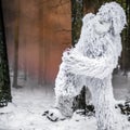 Yeti fairy tale character in winter forest. Outdoor fantasy photo.