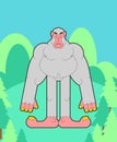 Yeti in forest. Bigfoot abominable snowman. vector illustration Royalty Free Stock Photo