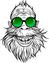 Yeti in green round sunglasses.