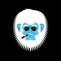 Yeti serious emoji. Abominable snowman with cigar. Bigfoot bespectacled emotion face. Vector illustration Royalty Free Stock Photo
