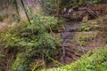 Waterfall in Yew-boxwood grove in spring in Sochi city, Russia