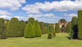 The Yew Garden, Packwood House, Warwickshire, England. Royalty Free Stock Photo