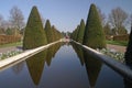 Yew tree reflection at Keukenhof