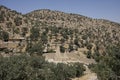 Yezidi temple in Lalish Royalty Free Stock Photo