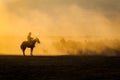 Yilki Horses Running in Field, Kayseri, Turkey