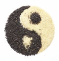 Yin Yang 5