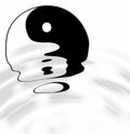 Yin Yang Royalty Free Stock Photo