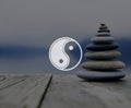 Yin Yang Balance Contrast Opposite Religion Culture Concept