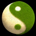 Yin Yang ball Royalty Free Stock Photo