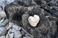 Yin Yang Black and White with a Heart Shaped Stone Royalty Free Stock Photo