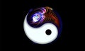 Yin and yang button, icon isolated on black background decorated luminescence peacock feather. Spiritual relaxation of glowing Royalty Free Stock Photo