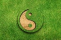 Yin Yang on green grass Royalty Free Stock Photo