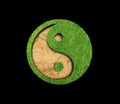 Yin Yang green grass Royalty Free Stock Photo