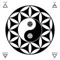 Yin Yang oriental sacral symbols set isolated on white