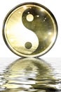 Yin Yang sign Royalty Free Stock Photo