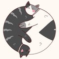 Yin Yang sign icon. White and black cute cats Royalty Free Stock Photo