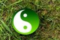 The Yin-Yang Symbol . Royalty Free Stock Photo