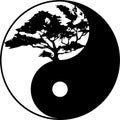 Yin yang tree Royalty Free Stock Photo