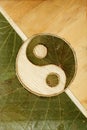 Ying-Yang Royalty Free Stock Photo