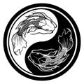 Ying yang symbol of harmony and balance. Hand drawn outline Koi fish vector illustration, tattoo design, japan style, line art ink Royalty Free Stock Photo