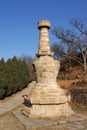 Yinshan Pagodas 11