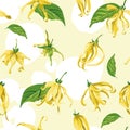 Vector seamless pattern with ylang ylang on a yellow background with white brush strokes Floral Texture with wild tropical flowers