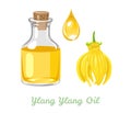Ylang ylang essential oil in glass bottle, drop and yellow flower. Vector illustration Royalty Free Stock Photo