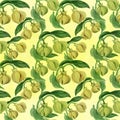 Ylang-ylang. Watercolor painting medicinal, perfumery and cosmetic plants.. Wallpaper. Use printed materials, signs, posters, post