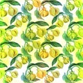 Ylang-ylang. Watercolor painting medicinal, perfumery and cosmetic plants.. Wallpaper. Use printed materials, signs, posters, post