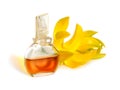 Ylang-Ylang essential oil with flowers.