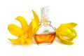 Ylang-Ylang essential oil with flowers.