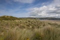 Ynyslas Sand Dunes are part of the Dyfi National Nature Reserve