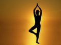 Yoga 2 Royalty Free Stock Photo