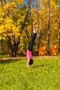 Yoga Adha mukha vrikshasana pose