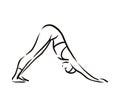 Yoga adho mukha schwanasana pose illustration on white background. Relax and meditate. Healthy lifestyle. Balance