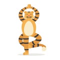 Yoga Animal Tiger. Cute Tigris Does Asana. Vector