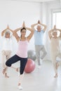 Yoga attendants during classes Royalty Free Stock Photo