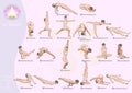 yoga for Beginners