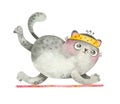 Yoga Cat. Cute sports character in asana.