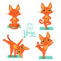 Yoga Cat Pose. Yoga Cat Vector. Yoga Cat Meme. Yoga Cat Images. Yoga Cat Position. Yoga Cat Figurine.