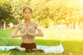 Yoga class in park,sports and fitness outdoor,young woman in nature does exercises, trains Royalty Free Stock Photo