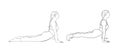 Yoga cobra and upward facing dog poses. Hatha yoga asanas. Vector illustration Royalty Free Stock Photo