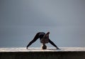 Yoga at Cultus lake British Columbia