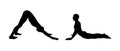 Yoga Downward Facing Dog Pose and Cobra poses. Man silhouettes practicing yoga. Vector illustration