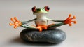 Yoga Frog Stone Meditation Studio Calm Royalty Free Stock Photo