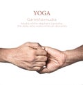 Yoga Ganesha mudra Royalty Free Stock Photo